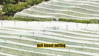 Anti insect netting 