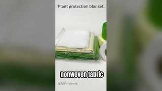 pp nonwoven fabric