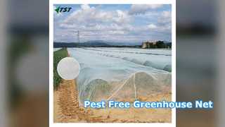 Greenhouse Insect Net 50x25 Mesh 2m x 100m